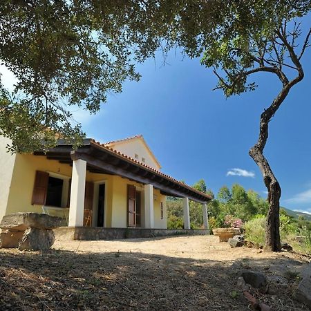 Lierus B&B Gonnosfanàdiga Dış mekan fotoğraf