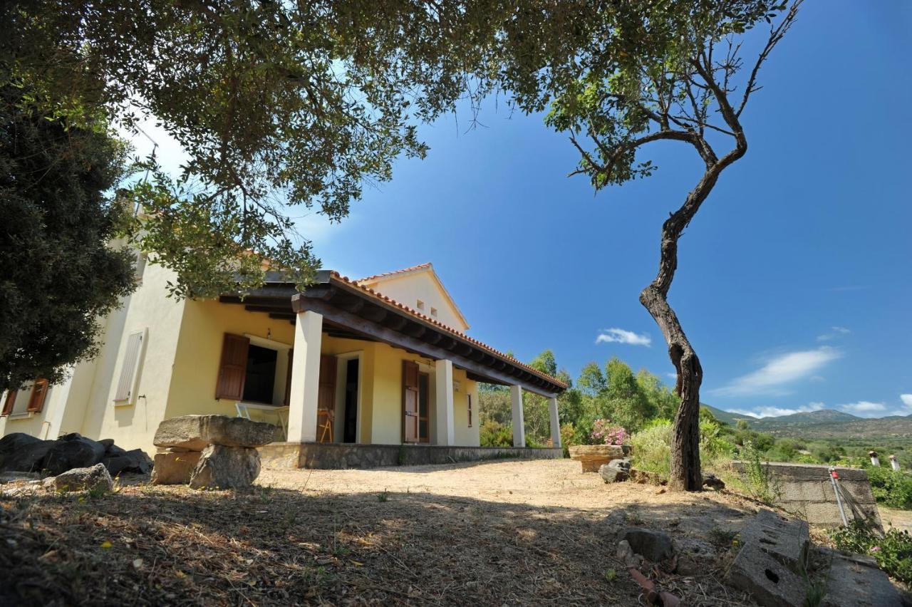 Lierus B&B Gonnosfanàdiga Dış mekan fotoğraf
